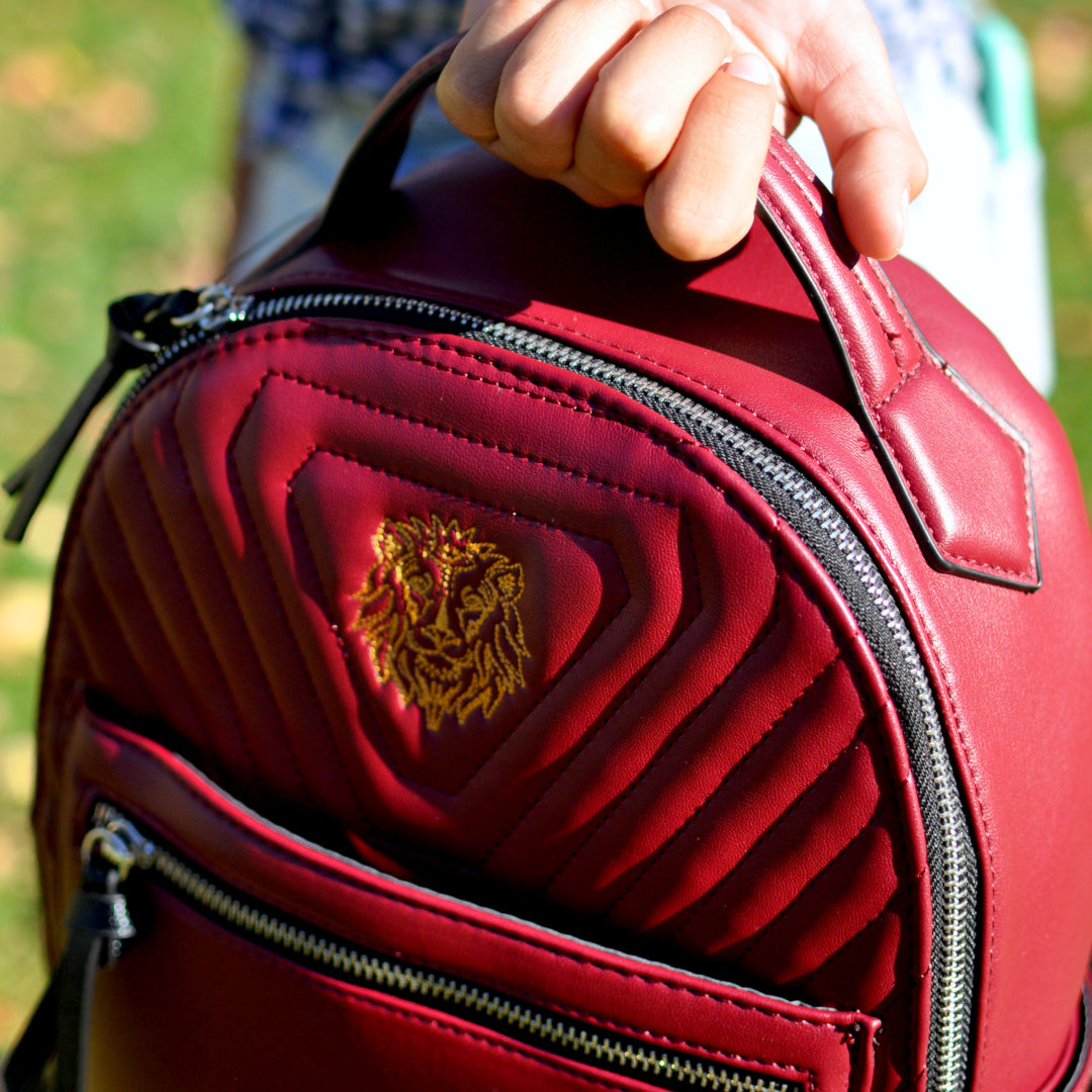 Harry Potter Gryffindor/Slytherin Sport Back Pack